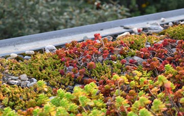the cost of North Clifton green roof installation