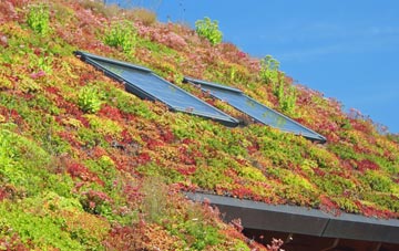 North Clifton living roof systems