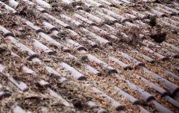 North Clifton roof cleaning companies