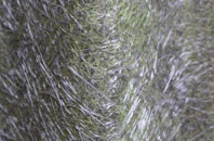 North Clifton fibreglass roof work